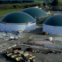 Irsko: Biometanová elektrárna Weltec Biopower